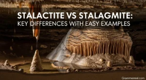Stalactite vs Stalagmite: Key Differences with Easy Examples