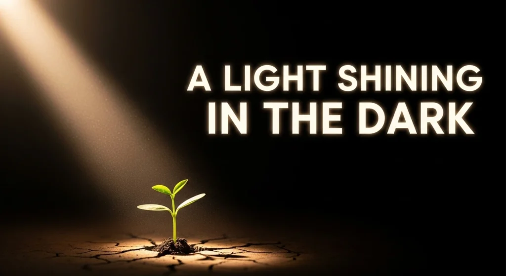 A Light Shining in the Dark