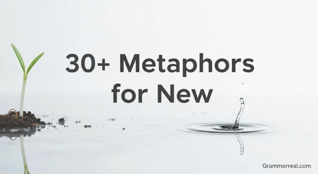 Metaphors for New