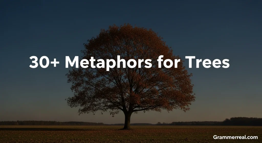 Metaphors for Trees