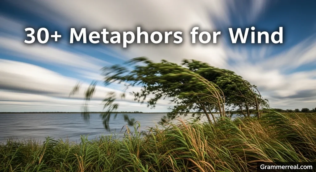 Metaphors for Wind