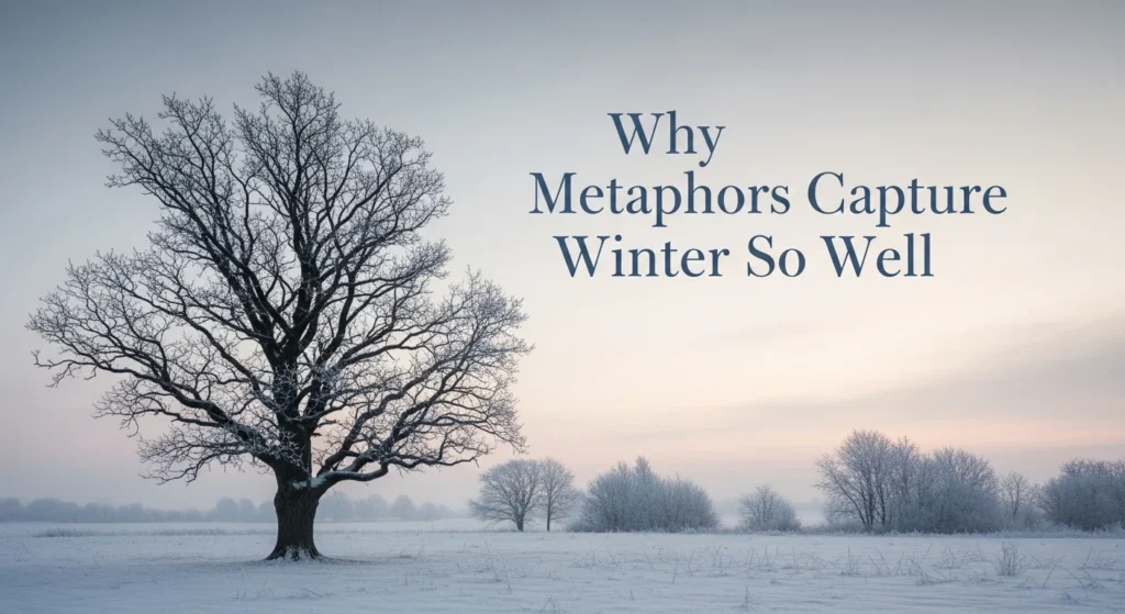 Why Metaphors Capture Winter So Well