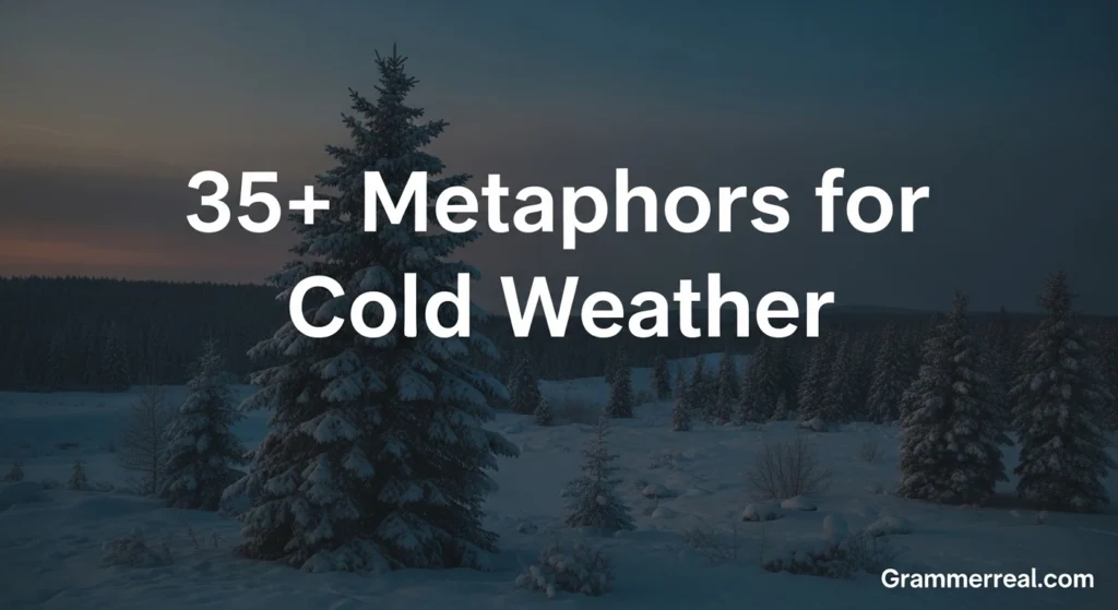 Metaphors for Cold Weather