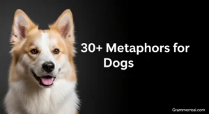 30+ Metaphors for Dogs