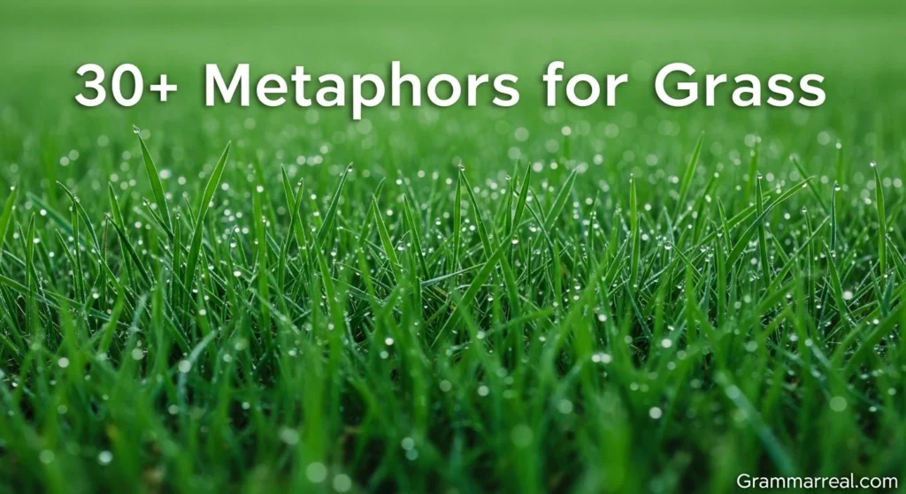 Metaphors for Grass