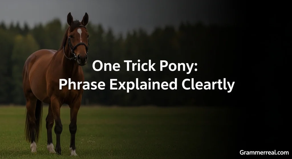 One Trick Pony: Phrase Explained Clearly