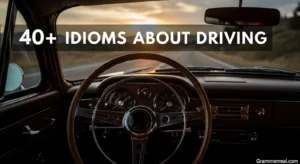 40+ Idioms About Driving